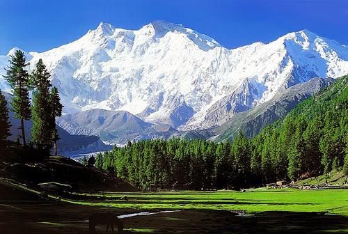 sonamarg2.jpg